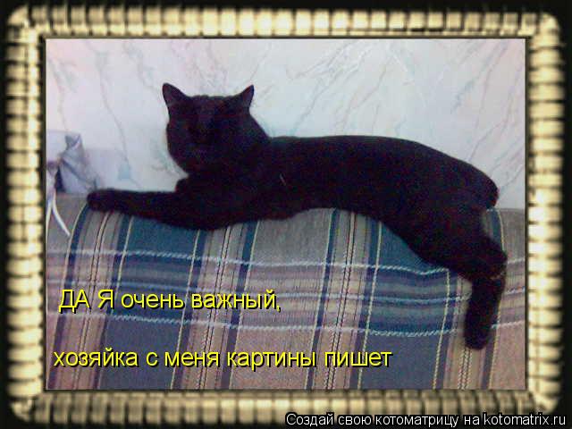 ДА Я очень важный, хозяйка с меня картины пишет... Котоматрица: ДА Я очень важный, хозяйка с меня картины пишет