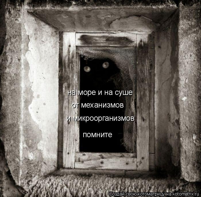на море и на суше от механизмов и микроорганизмов помните... Котоматрица: на море и на суше от механизмов и микроорганизмов помните