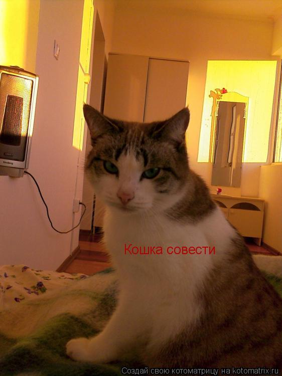 Кошка совести... Котоматрица: Кошка совести