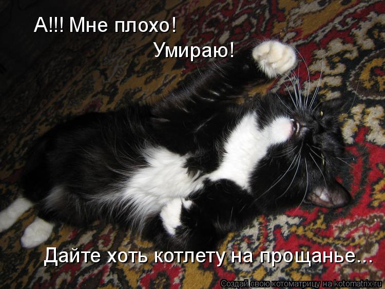 А!!! Мне плохо! Умираю! Дайте хоть котлету на прощанье...... Котоматрица: А!!! Мне плохо! Умираю! Дайте хоть котлету на прощанье...