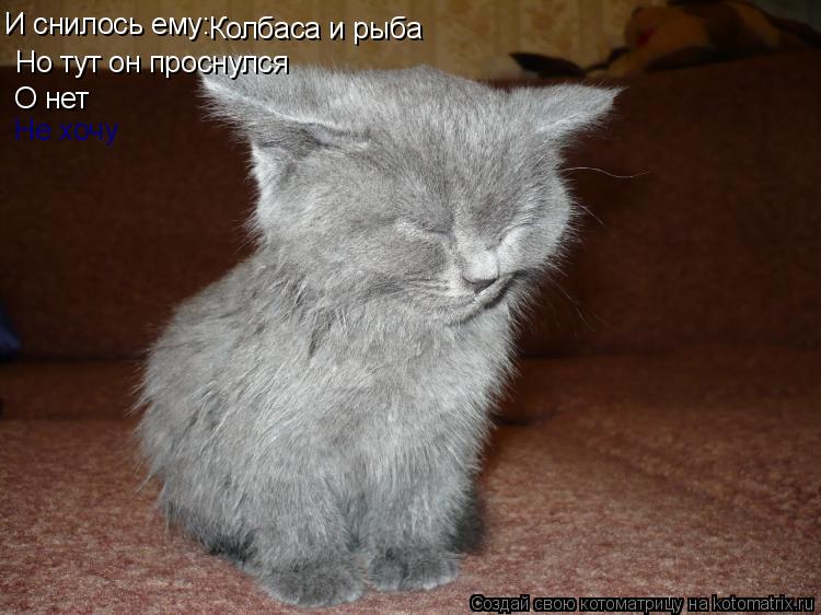 Но тут он проснулся Колбаса и рыба О нет Не хочу И снилось ему:... Котоматрица: Но тут он проснулся Колбаса и рыба О нет Не хочу И снилось ему: