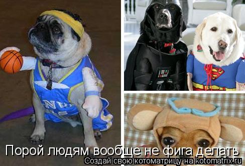 Порой людям вообще не фига делать... Котоматрица: Порой людям вообще не фига делать