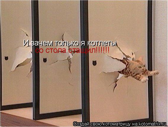 И зачем только я котлеты со стола стащил!!!!!!... Котоматрица: И зачем только я котлеты со стола стащил!!!!!!