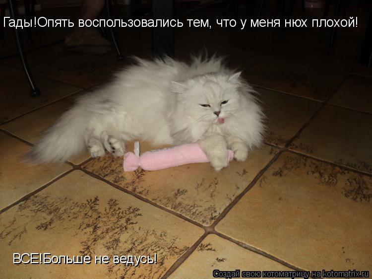 Гады!Опять воспользовались тем, что у меня нюх плохой! ВСЕ!Больше не ведусь!... Котоматрица: Гады!Опять воспользовались тем, что у меня нюх плохой! ВСЕ!Больше не ведусь!