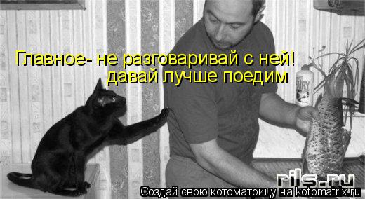 Главное- не разговаривай с ней! давай лучше поедим... Котоматрица: Главное- не разговаривай с ней! давай лучше поедим