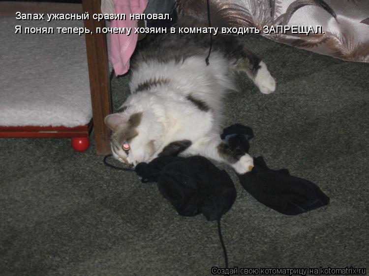 Запах ужасный сразил наповал, Я понял теперь, почему хозяин в комнату входить ЗАПРЕЩАЛ.... Котоматрица: Запах ужасный сразил наповал, Я понял теперь, почему хозяин в комнату входить ЗАПРЕЩАЛ.