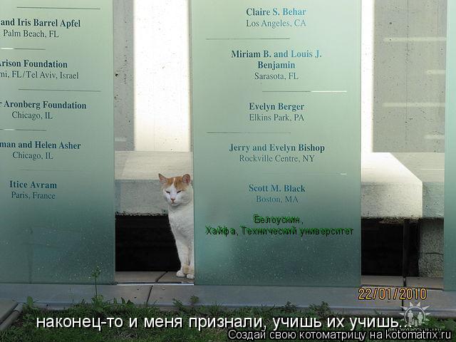 Белоускин, Хайфа, Технический университет наконец-то и меня признали, учишь их учишь...... Котоматрица: Белоускин, Хайфа, Технический университет наконец-то и меня признали, учишь их учишь...