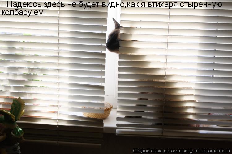 --Надеюсь,здесь не будет видно,как я втихаря стыренную колбасу ем!... Котоматрица: --Надеюсь,здесь не будет видно,как я втихаря стыренную колбасу ем!