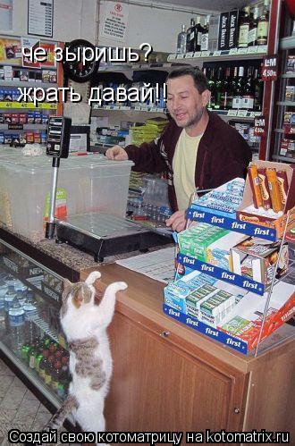 че зыришь? жрать давай!!... Котоматрица: че зыришь? жрать давай!!