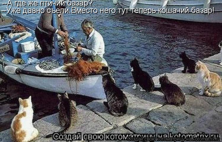 --А где же птичий базар? --Уже давно съели.Вместо него тут теперь кошачий базар!... Котоматрица: --А где же птичий базар? --Уже давно съели.Вместо него тут теперь кошачий базар!