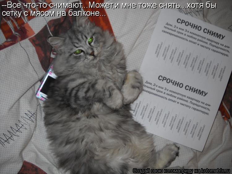 --Все что-то снимают...Может,и мне тоже снять...хотя бы сетку с мясом на балконе...... Котоматрица: --Все что-то снимают...Может,и мне тоже снять...хотя бы сетку с мясом на балконе...