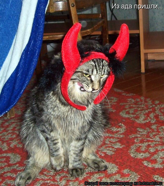 Из ада пришли...... Котоматрица: Из ада пришли...