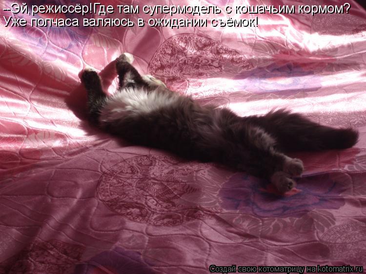 --Эй,режиссёр!Где там супермодель с кошачьим кормом? Уже полчаса валяюсь в ожидании съёмок!... Котоматрица: --Эй,режиссёр!Где там супермодель с кошачьим кормом? Уже полчаса валяюсь в ожидании съёмок!