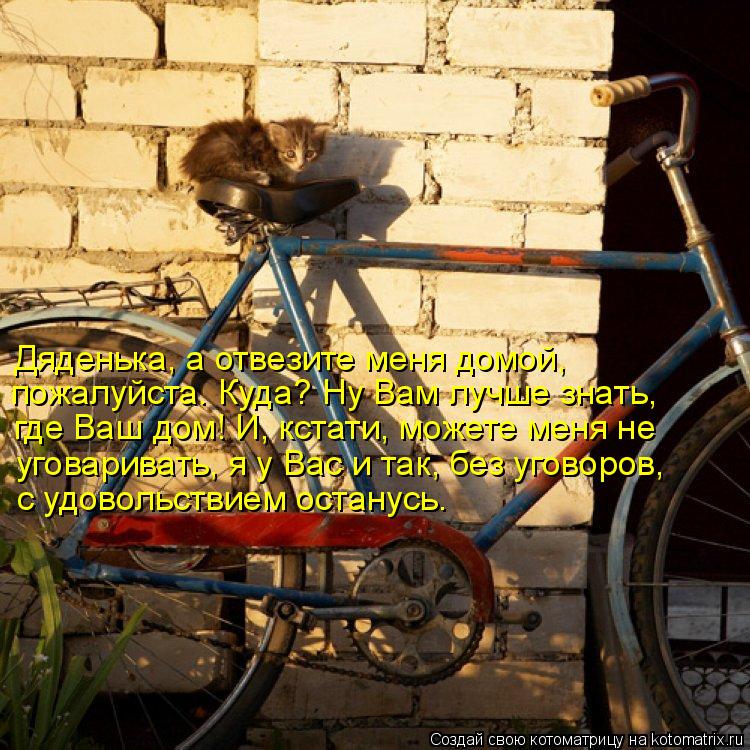Дяденька, а отвезите меня домой, пожалуйста. Куда? Ну Вам лучше знать, где Ваш дом! И, кстати, може... Котоматрица: Дяденька, а отвезите меня домой, пожалуйста. Куда? Ну Вам лучше знать, где Ваш дом! И, кстати, можете меня не уговаривать, я у Вас и так, без уг