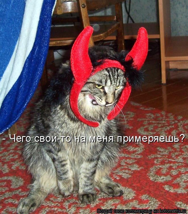 - Чего свои-то на меня примеряешь?... Котоматрица: - Чего свои-то на меня примеряешь?