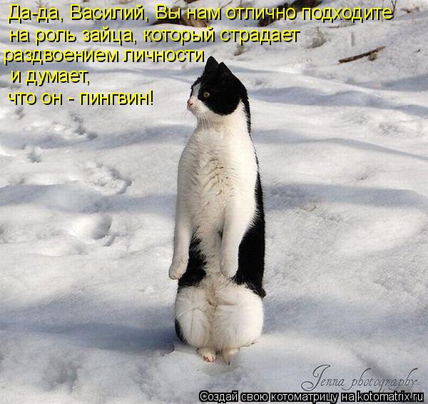 Котоматрица: Да-да, Василий, Вы нам отлично подходите   на роль зайца, который страдает  раздвоением личности  и думает,  что он - пингвин!