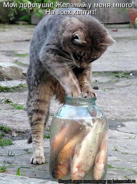 Мои дорогуши! Желаний у меня много! На всех хватит!... Котоматрица: Мои дорогуши! Желаний у меня много! На всех хватит!