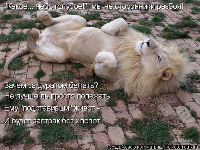 "Какое... небо голубое!", мы не сторонники разбоя! Зачем за дураком бежать? Не лучше ль просто полежа... Котоматрица: "Какое... небо голубое!", мы не сторонники разбоя! Зачем за дураком бежать? Не лучше ль просто полежать Ему "подставивши" живот - И будет завтра