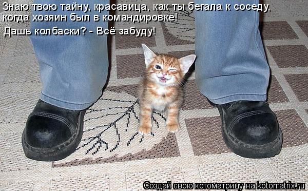 Знаю твою тайну, красавица, как ты бегала к соседу, когда хозяин был в командировке! Дашь колбаски? ... Котоматрица: Знаю твою тайну, красавица, как ты бегала к соседу, когда хозяин был в командировке! Дашь колбаски? - Всё забуду!