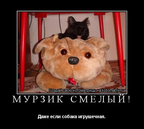 Мурзик смелый! Даже если собака игрушечная.... Котоматрица: Мурзик смелый! Даже если собака игрушечная.