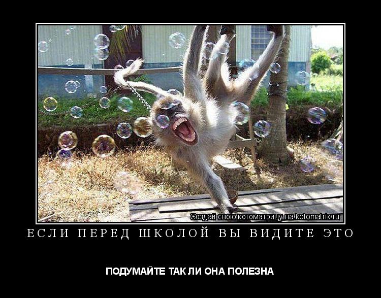 ЕСЛИ ПЕРЕД ШКОЛОЙ ВЫ ВИДИТЕ ЭТО ПОДУМАЙТЕ ТАК ЛИ ОНА ПОЛЕЗНА... Котоматрица: ЕСЛИ ПЕРЕД ШКОЛОЙ ВЫ ВИДИТЕ ЭТО ПОДУМАЙТЕ ТАК ЛИ ОНА ПОЛЕЗНА