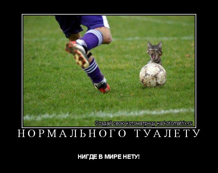 НОРМАЛЬНОГО ТУАЛЕТУ НИГДЕ В МИРЕ НЕТУ!... Котоматрица: НОРМАЛЬНОГО ТУАЛЕТУ НИГДЕ В МИРЕ НЕТУ!