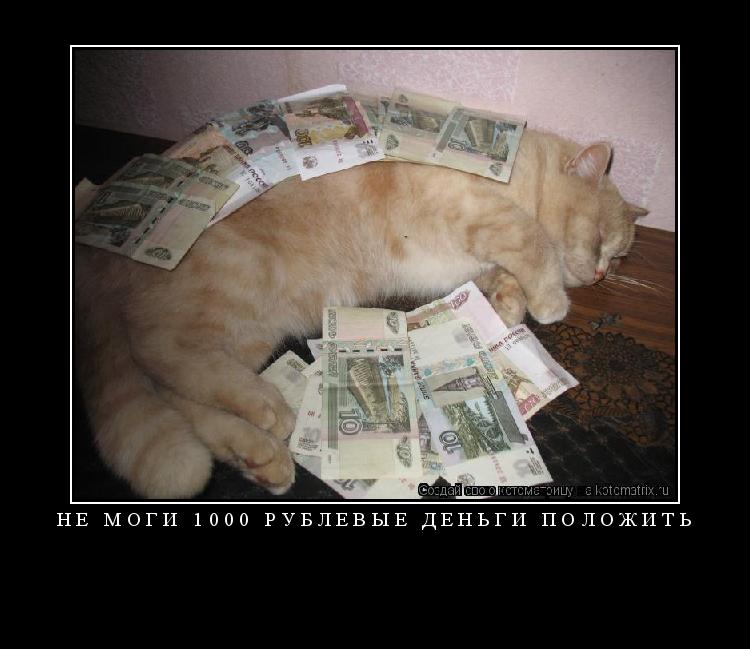 Не моги 1000 рублёвые деньги положить ... Котоматрица: Не моги 1000 рублёвые деньги положить