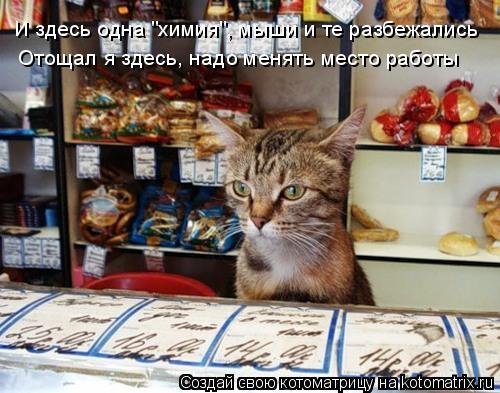 И здесь одна "химия", мыши и те разбежались Отощал я здесь, надо менять место работы... Котоматрица: И здесь одна "химия", мыши и те разбежались Отощал я здесь, надо менять место работы