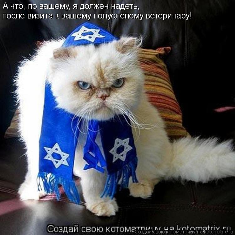А что, по вашему, я должен надеть, после визита к вашему полуслепому ветеринару!... Котоматрица: А что, по вашему, я должен надеть, после визита к вашему полуслепому ветеринару!