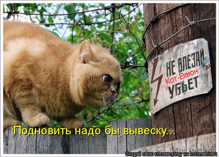 Подновить надо бы вывеску... Кот-Баюн... Котоматрица: Подновить надо бы вывеску... Кот-Баюн