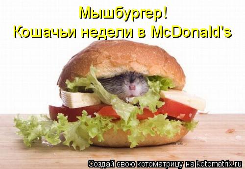 Кошачьи недели в McDonald's Мышбургер!... Котоматрица: Кошачьи недели в McDonald's Мышбургер!