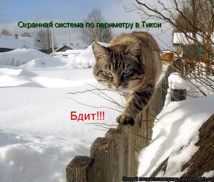 Охранная система по периметру в Тикси Бдит!!!... Котоматрица: Охранная система по периметру в Тикси Бдит!!!