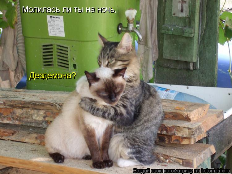 Молилась ли ты на ночь, Дездемона?... Котоматрица: Молилась ли ты на ночь, Дездемона?