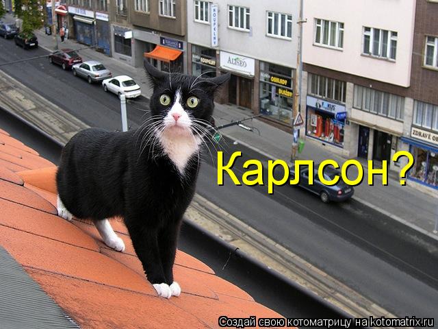 Карлсон?... Котоматрица: Карлсон?