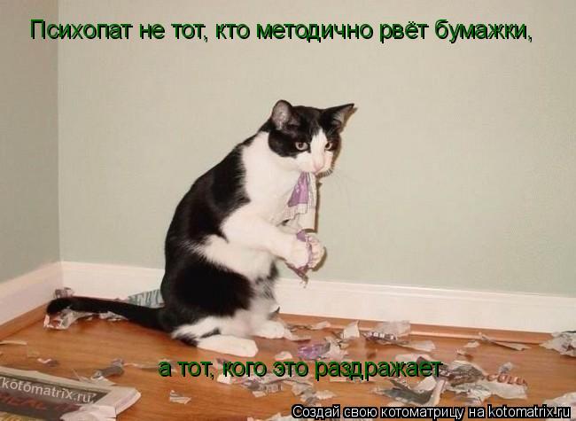 Психопат не тот, кто методично рвёт бумажки, а тот, кого это раздражает... Котоматрица: Психопат не тот, кто методично рвёт бумажки, а тот, кого это раздражает