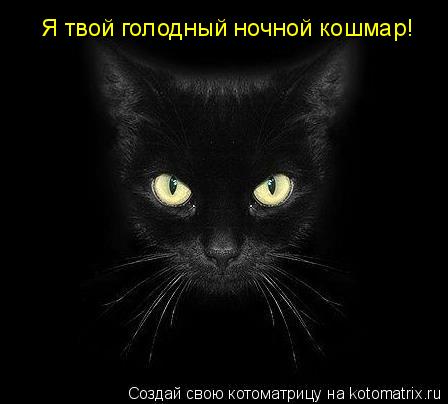 Я твой голодный ночной кошмар!... Котоматрица: Я твой голодный ночной кошмар!
