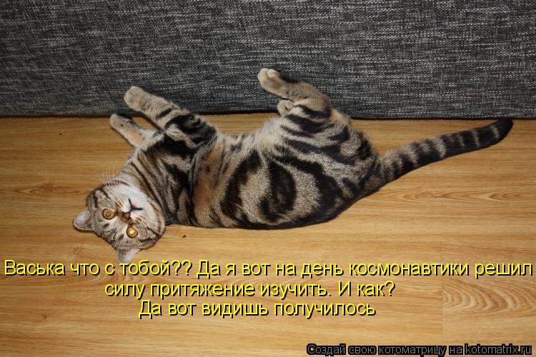 Васька что с тобой?? Да я вот на день космонавтики решил силу притяжение изучить. И как? Да вот види... Котоматрица: Васька что с тобой?? Да я вот на день космонавтики решил силу притяжение изучить. И как? Да вот видишь получилось