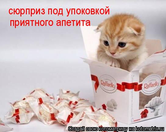 сюрприз под упоковкой приятного апетита... Котоматрица: сюрприз под упоковкой приятного апетита