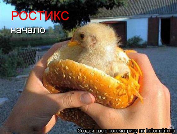 РОСТИКС начало... Котоматрица: РОСТИКС начало