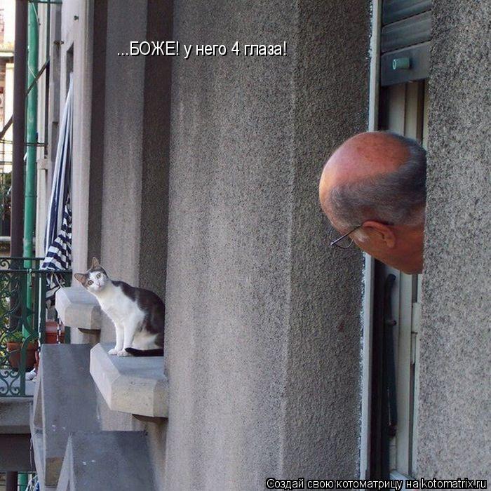 ...БОЖЕ! у него 4 глаза!... Котоматрица: ...БОЖЕ! у него 4 глаза!