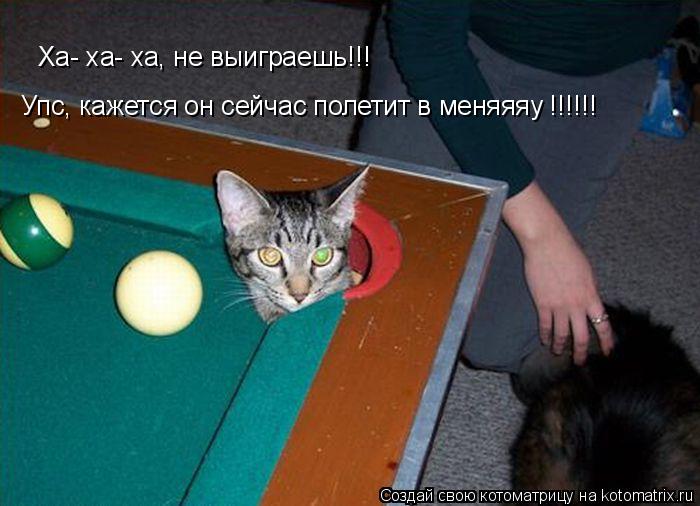 Ха- ха- ха, не выиграешь!!! Упс, кажется он сейчас полетит в меняяяу !!!!!!... Котоматрица: Ха- ха- ха, не выиграешь!!! Упс, кажется он сейчас полетит в меняяяу !!!!!!