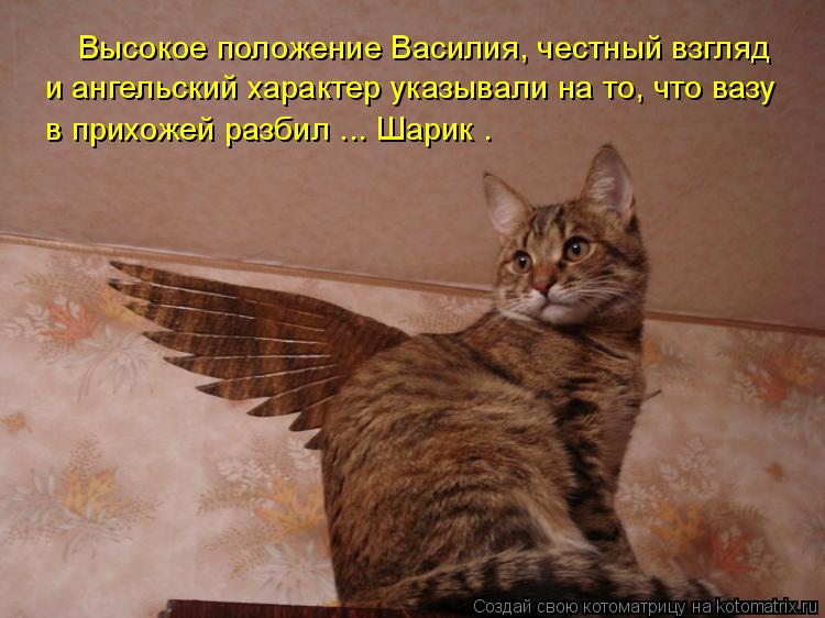 Котоматрица: в прихожей разбил ... Шарик . и ангельский характер указывали на то, что вазу Высокое положение Василия, честный взгляд