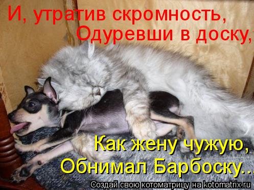 И, утратив скромность, Одуревши в доску, Как жену чужую, Обнимал Барбоску...... Котоматрица: И, утратив скромность, Одуревши в доску, Как жену чужую, Обнимал Барбоску...