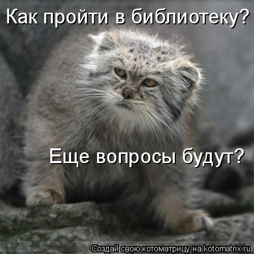Как пройти в библиотеку? Еще вопросы будут?... Котоматрица: Как пройти в библиотеку? Еще вопросы будут?