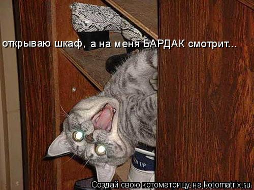 открываю шкаф, а на меня БАРДАК смотрит...... Котоматрица: открываю шкаф, а на меня БАРДАК смотрит...
