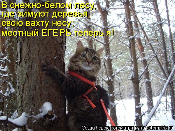 В снежно-белом лесу, где зимуют деревья, свою вахту несу: местный ЕГЕРЬ теперь я!... Котоматрица: В снежно-белом лесу, где зимуют деревья, свою вахту несу: местный ЕГЕРЬ теперь я!