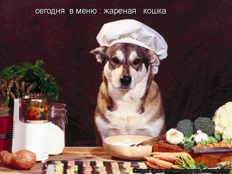 сегодня в меню : жареная кошка... Котоматрица: сегодня в меню : жареная кошка
