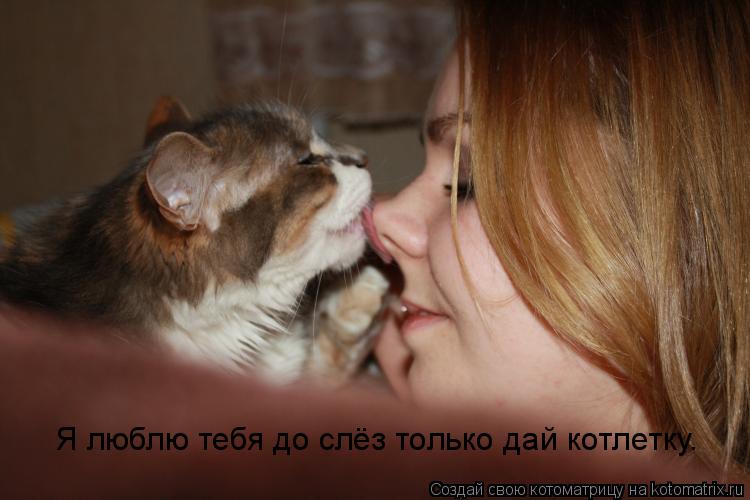 Я люблю тебя до слёз только дай котлетку.... Котоматрица: Я люблю тебя до слёз только дай котлетку.