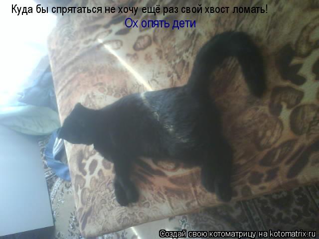 Ох опять дети Куда бы спрятаться не хочу ещё раз свой хвост ломать!... Котоматрица: Ох опять дети Куда бы спрятаться не хочу ещё раз свой хвост ломать!