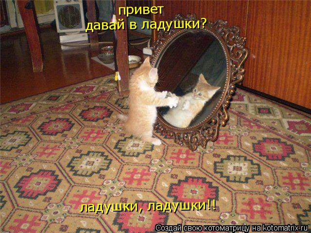 привет приве давай в ладушки? ладушки, ладушки!!... Котоматрица: привет приве давай в ладушки? ладушки, ладушки!!